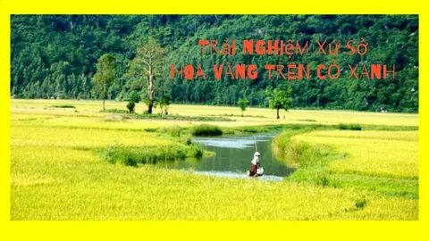 Nam sinh Việt Nam tham dự chương trình đặc biệt của Đại học Harvard