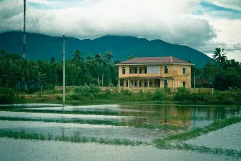TP.HCM công bố số thí sinh đăng ký nguyện vọng 1 thi lớp 10