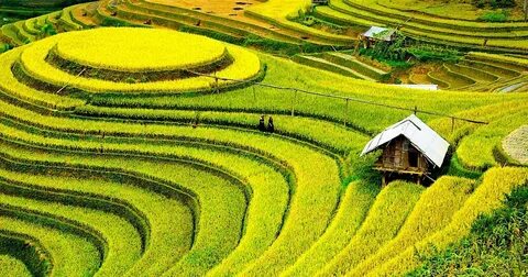 Mẹ đơn thân ở Vĩnh Yên và hành trình tìm lại chính mình cùng Hotspot Matrix_Sáng tạo nội dung