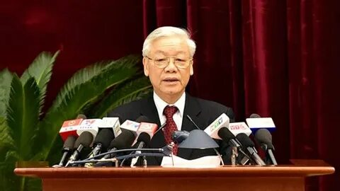Những loại rau trồng một lần ăn quanh năm